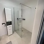 Luxusapartment Mit 40 Qm Terrasse, E-parkplatz Und Parkplatz * グラーツ