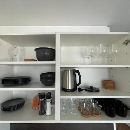 Luxusapartment Mit 40 Qm Terrasse, E-parkplatz Und Parkplatz 格拉茨